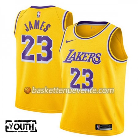Maillot Basket Los Angeles Lakers Lebron James 23 2018-19 Nike Gris Swingman - Enfant